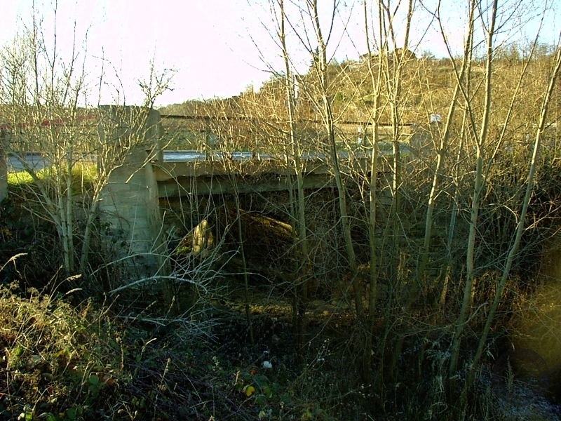Kärnerbrücke bei Langenbogen