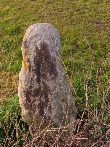 Menhir "Hexenstein" (Butterstein) bei Höhnstedt im Saalekreis