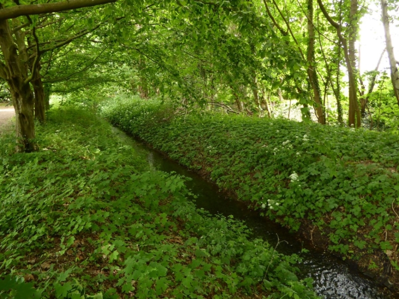 Elsterfloßgraben zwischen Kötzschau und Schladebach (Stadt Leuna) im Saalekreis