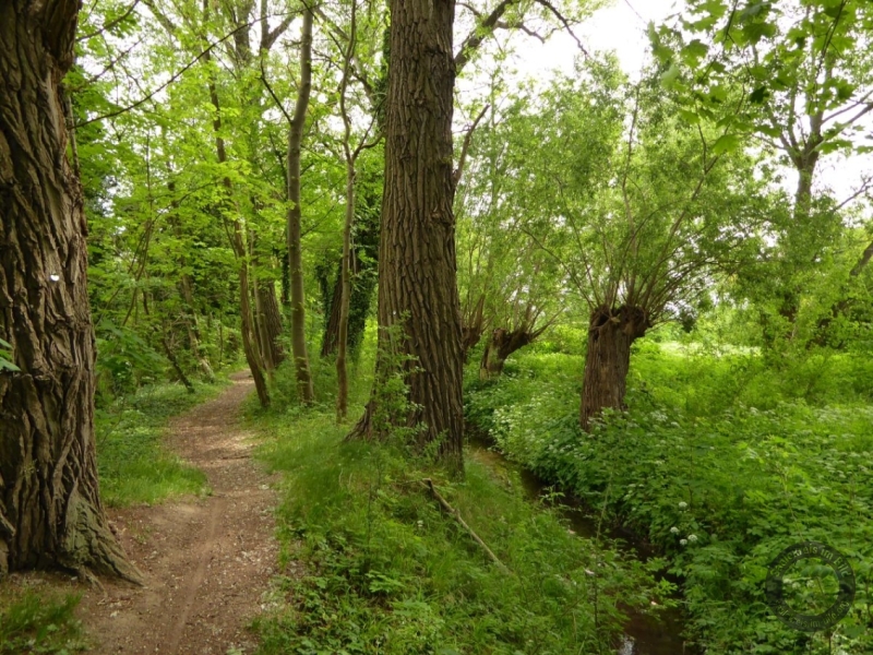 Elsterfloßgraben zwischen Kötzschau und Schladebach (Stadt Leuna) im Saalekreis