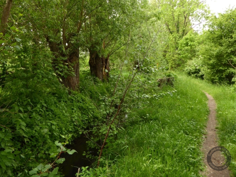 Elsterfloßgraben zwischen Kötzschau und Schladebach (Stadt Leuna) im Saalekreis