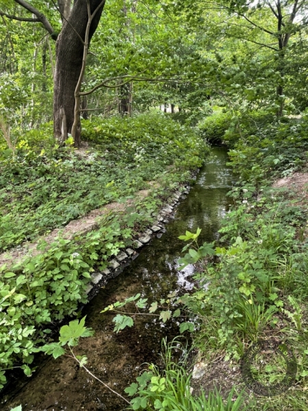 Elsterfloßgraben zwischen Kötzschau und Schladebach (Stadt Leuna) im Saalekreis