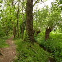 Elsterfloßgraben zwischen Kötzschau und Schladebach (Stadt Leuna) im Saalekreis