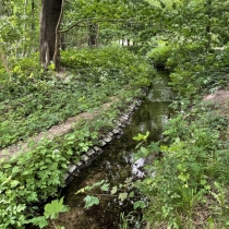 Elsterfloßgraben zwischen Kötzschau und Schladebach (Stadt Leuna) im Saalekreis