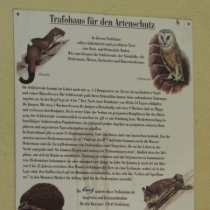 Artenschutzturm (ehemaliger Trafoturm) auf dem Bleichplatz in Obhausen (Weida-Land) im Saalekreis