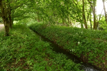 Elsterfloßgraben zwischen Kötzschau und Schladebach (Stadt Leuna) im Saalekreis